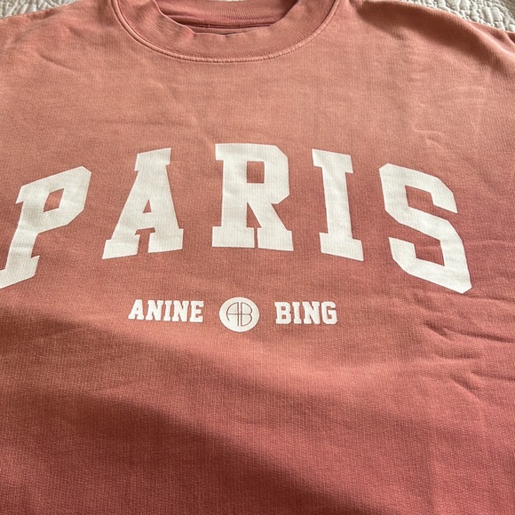 Anine Bing Jaci Sweatshirt University Paris - Picture 10 of 12